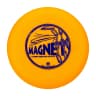 Magnet