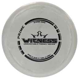 Dynamic Discs Witness