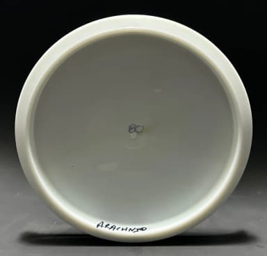 Innova Arachnid