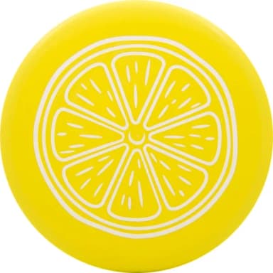 Dynamic Discs Judge Classic Blend Scented