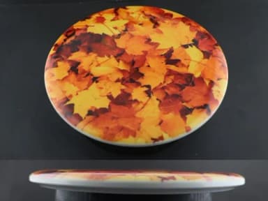Dynamic Discs Warrant Fuzion DyeMax