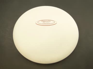 Gateway Disc Sports Prophecy Sure Grip