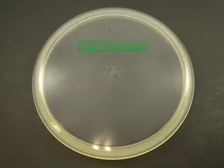 Innova Roc Champion X-Out