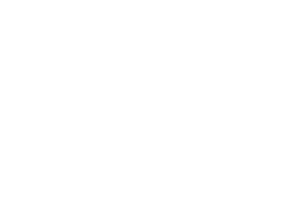 Pine Tree Disc Golf